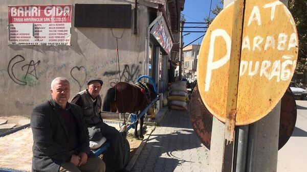 'At arabası taksilerin' sayısı 8’e kadar düştü: ‘Bu meslek torunlarımıza miras kalsın istiyoruz’
 - Sputnik Türkiye