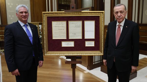 Cumhurbaşkanı Erdoğan'dan, Küba Devlet Başkanı Diaz-Canel'e tarihi hediye - Sputnik Türkiye