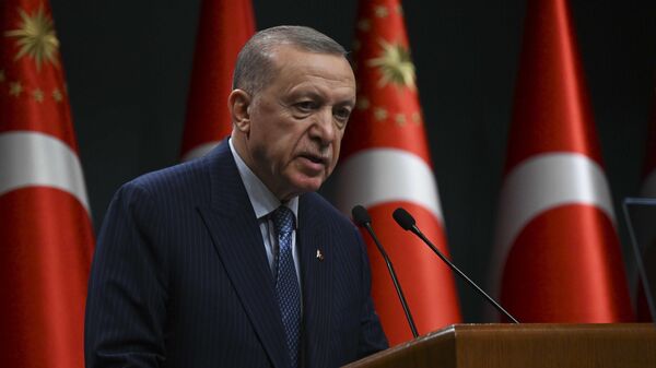 Cumhurbaşkanı Recep Tayyip Erdoğan, Cumhurbaşkanlığı Kabine Toplantısı'nın ardından açıklamalarda bulundu. ( Doğukan Keskinkılıç - Anadolu Ajansı ) - Sputnik Türkiye