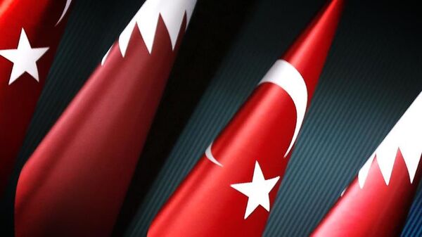 Katar - Türkiye - Sputnik Türkiye