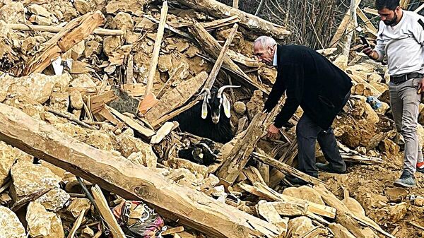 Kahramanmaraş'ın Nurhak ilçesinde deprem sonrası arama kurtarma ve enkaz kaldırma çalışmalarını sürdüren Muş Valiliği koordinesindeki ekipler, 637 saat sonra 2 keçiyi canlı olarak enkazdan çıkardı. - Sputnik Türkiye