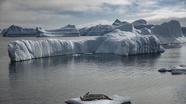 Antarktika buzulları 
 - Sputnik Türkiye