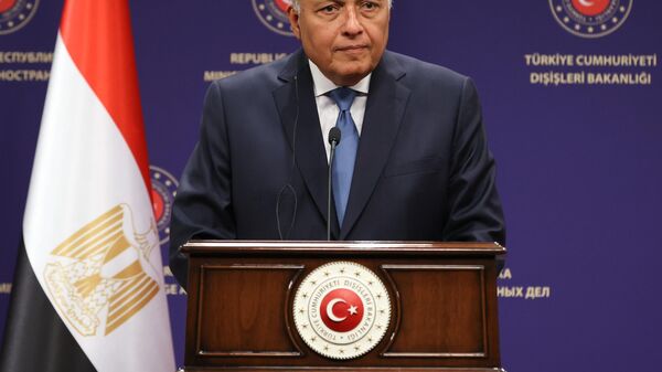 Mısır Dışişleri Bakanı Samih Şukri, - Sputnik Türkiye