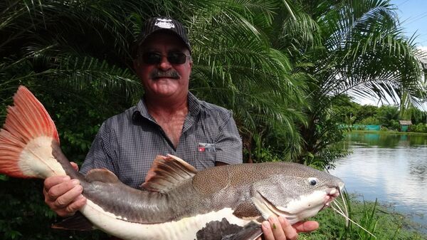 Avustralya’da bir timsahın midesinde, balık tutarken kaybolan 65 yaşındaki Kevin Darmody’a ait kalıntılar bulundu. - Sputnik Türkiye