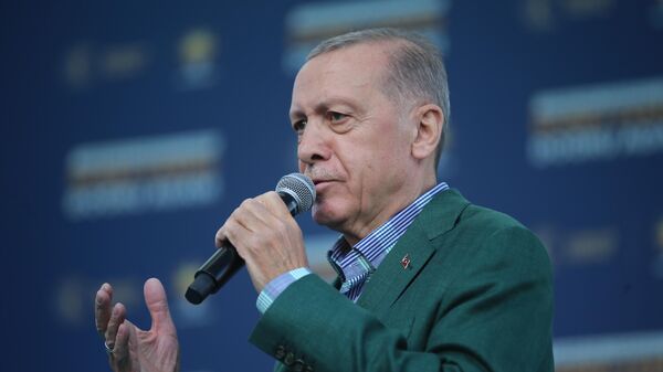 Cumhurbaşkanı  Erdoğan - Sputnik Türkiye