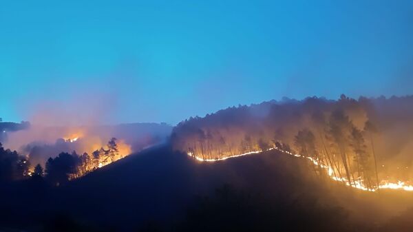 İspanya'nın batısındaki Caceres kentinin kuzeyinde çıkan yangınlarda şu ana kadar 8 bin hektarlık alan küle dönerken, 600 kişi tahliye edildi. Alevlerle mücadele sürüyor. - Sputnik Türkiye