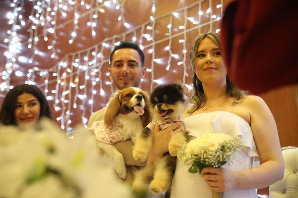 Evlenmelerine vesile olan köpekleri temsili nikah şahidi oldu - Sputnik Türkiye