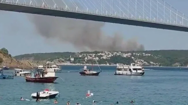 İstanbul Beykoz'da orman yangını - Sputnik Türkiye