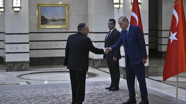 Cumhurbaşkanı Recep Tayyip Erdoğan, Cezayir'in Ankara Büyükelçisi Amar Belani'yi kabul etti - Sputnik Türkiye