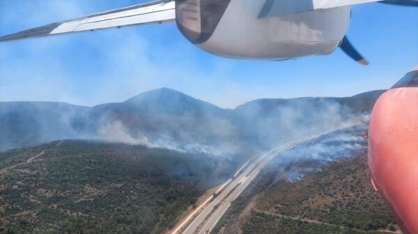 Alev alan otomobil orman yangınına yol açtı: İzmir-Çeşme Otoyolu çift taraflı ulaşıma kapatıldı - Sputnik Türkiye