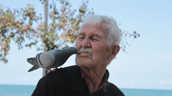 Ordu'nun Altınordu ilçesinde yaşayan 92 yaşındaki Reşat Çolak, her gün ilçenin Akyazı Mahallesi'nde bulunan sahil bölgesine gelerek güvercinleri ağzı ile besliyor. - Sputnik Türkiye