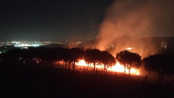 İstanbul Maltepe Başıbüyük Mahallesi'ndeki ormanlık alanda çıkan yangına itfaiye ekipleri müdahale ediyor. Rüzgarın da etkili olduğu bölgeye itfaiye personeli ile Orman Bölge Müdürlüğüne bağlı ekipler sevk edildi. Bölgeye ulaşan ekiplerin yangına müdahalesi devam ediyor. ( - Sputnik Türkiye