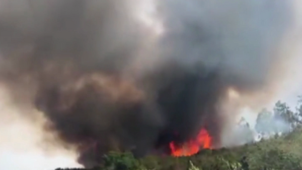 İspanya’nın Tenerife Adası’nda orman yangını:  3 bin kişi tahliye edildi - Sputnik Türkiye