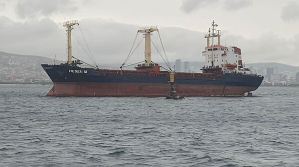 Maltepe’de 106 metre uzunluğundaki kuru yük gemisi karaya oturdu  - Sputnik Türkiye