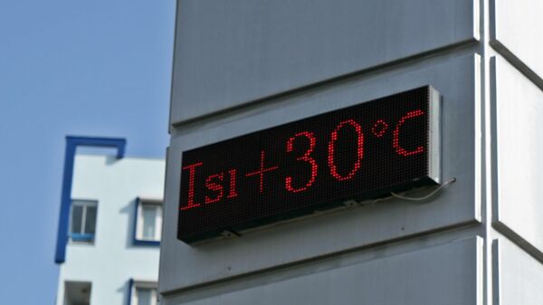 Termometreler 30 dereceyi gösterdi, nem oranı yüzde 75'e kadar çıktı - Sputnik Türkiye