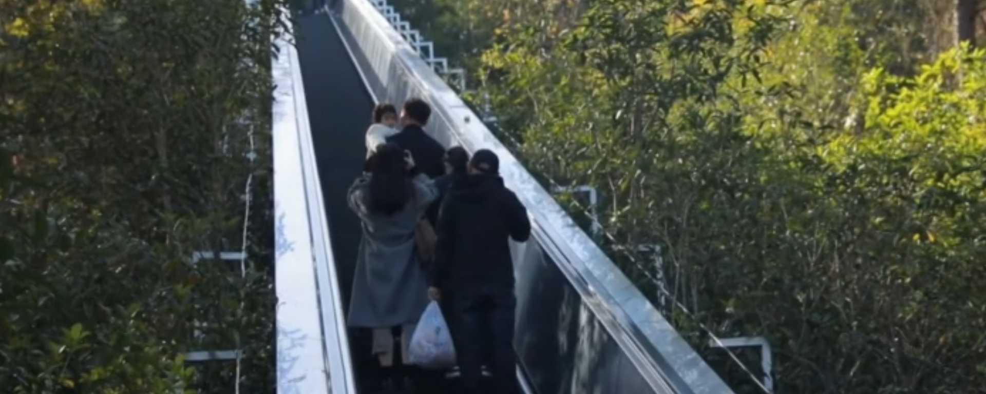 Çin'in Chun'an eyaletinde bulunan 350 metrelik yürüyen merdiven turistleri zirveye ulaştırıyor - Sputnik Türkiye, 1920, 22.11.2023