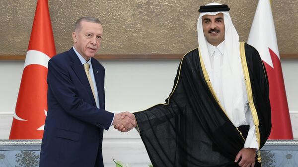 Cumhurbaşkanı Recep Tayyip Erdoğan, Katar Emiri Şeyh Temim bin Hamed Al Sani  - Sputnik Türkiye