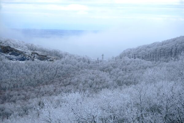 Kar nedeniyle Istranca ormanları kısa sürede beyaza büründü. - Sputnik Türkiye