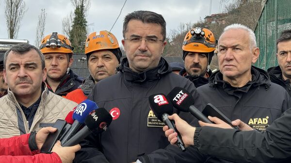 Afet ve Acil Durum Yönetimi (AFAD) Başkanı Okay Memiş - Sputnik Türkiye