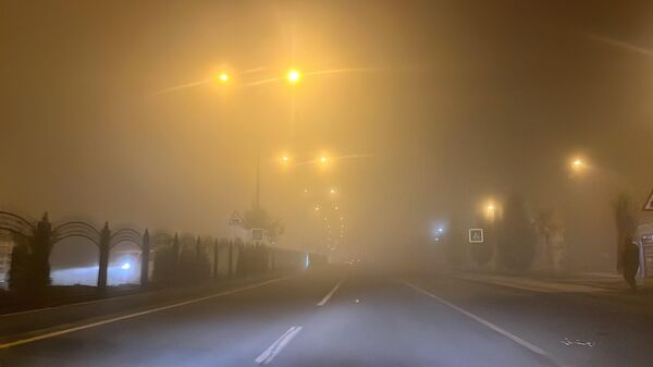 
Diyarbakır'da akşam saatlerinde etkili olan sis nedeniyle bazı uçak seferleri iptal edildi. - Sputnik Türkiye