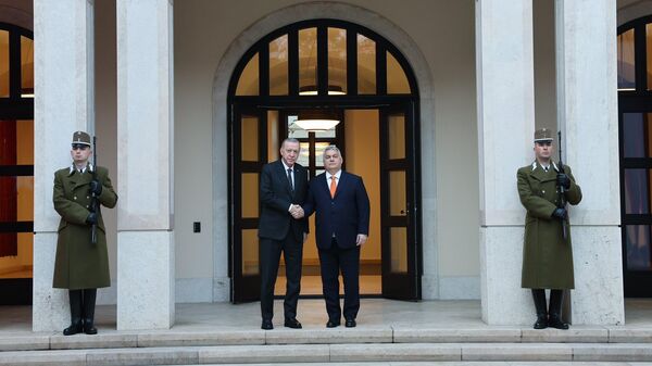 Cumhurbaşkanı Erdoğan, Macaristan Başbakanı Orban ile görüştü - Sputnik Türkiye