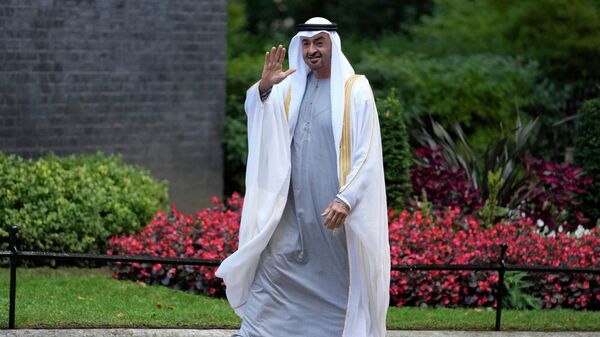 Birleşik Arap Emirlikleri (BAE) Devlet Başkanı Muhammed bin Zayid Al Nahyan - Sputnik Türkiye
