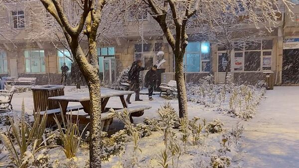 İstanbul'da kar yağışı etkili oldu - Sputnik Türkiye
