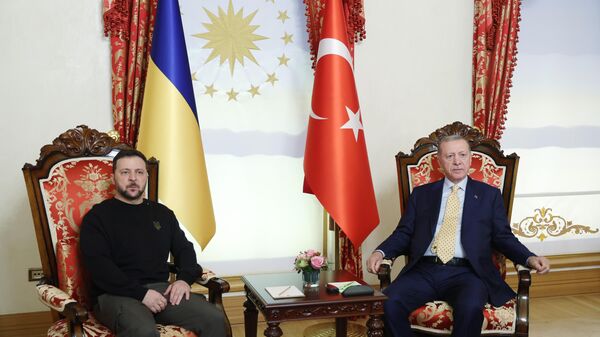 Cumhurbaşkanı Recep Tayyip Erdoğan ve Zelenskiy - Sputnik Türkiye