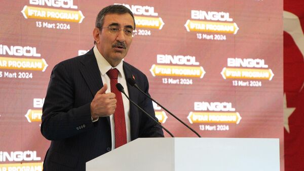 Cumhurbaşkanı Yardımcısı Cevdet Yılmaz - Sputnik Türkiye
