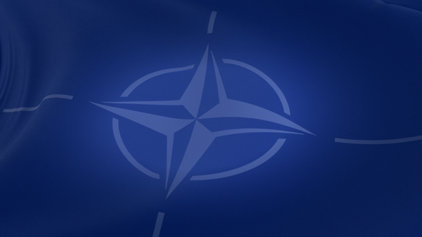 NATO'nun kuruluşunun 75. yıl dönümü  - Sputnik Türkiye