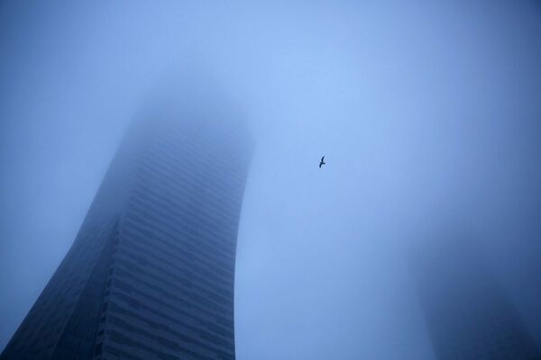 Bir kuş Polonya’nın başkenti Varşova’da sis içinde kalan bir gökdelenin üzerinden uçuyor. - Sputnik Türkiye