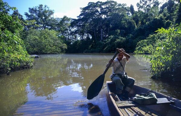 Peru’yu ziyaret edip, turistik etkinlikler ve tarihi ziyaretlerin yerine vahşi doğa ile baş başa kalmak isteyen turistlerin imdadına Amazon ormanları yetişiyor. - Sputnik Türkiye