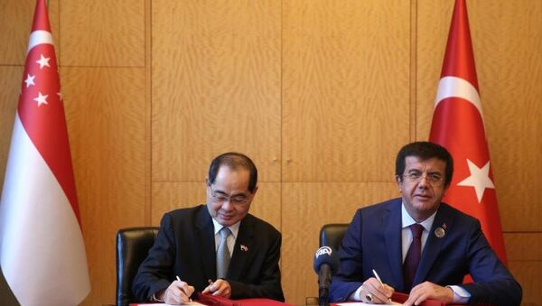 Ekonomi Bakanı Nihat Zeybekci (sağda) ile Singapur Ticaret ve Sanayi Bakanı Lim Hng Kiang (solda) - Sputnik Türkiye