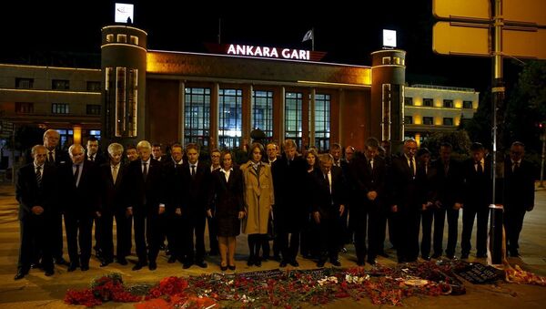 27 AB ülkesi büyükelçisi Ankara'da patlama yerine 97 karanfil bıraktı - Sputnik Türkiye