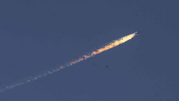 Türkiye-Suriye sınırında askeri uçak düştü - Sputnik Türkiye