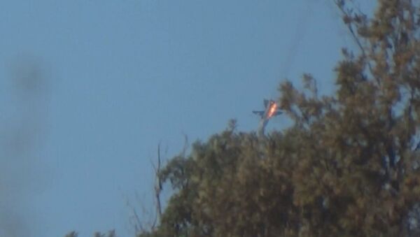 Suriye sınırında düşürülen Rus uçağı. - Sputnik Türkiye
