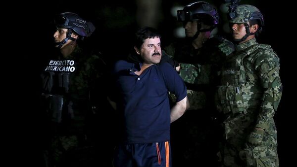 'El Chapo' lakaplı uyuşturucu baronu Joaquin Guzman - Sputnik Türkiye