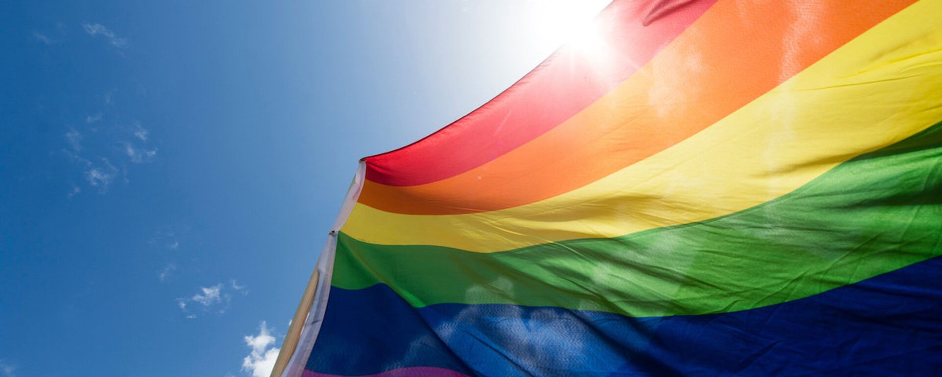 LGBT bayrağı - Sputnik Türkiye, 1920, 13.06.2020