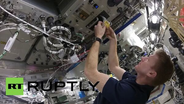 İngiliz astronot Tim Peake, uzayda çırpılmış yumurta yaptı. - Sputnik Türkiye
