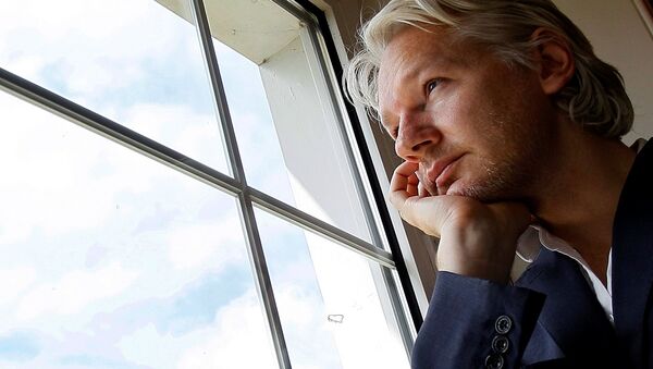 WikiLeaks founder Julian Assange - Sputnik Türkiye
