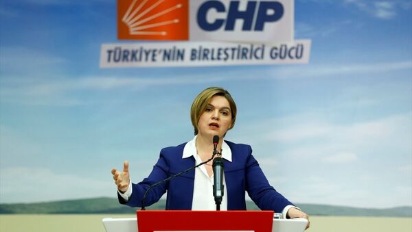 CHP Genel Başkan Yardımcısı ve Parti Sözcüsü Selin Sayek Böke, CHP Genel Merkezi'nde basın mensuplarına açıklamalarda bulundu ve soruları yanıtladı. - Sputnik Türkiye