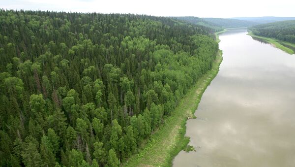 Rusya ayrıca dünyada en çok ormanlık araziye sahip ülke. Rusya’da ormanlar ülke yüzölçümünün yüzde 45’ini oluşturturuyor ve 7 milyon 762 bin 602 kilometre karelik bir alanı kapsıyor. Rusya’daki ormanlık arazilerin büyüklüğü Avustralya kıtasıyla aynı. - Sputnik Türkiye