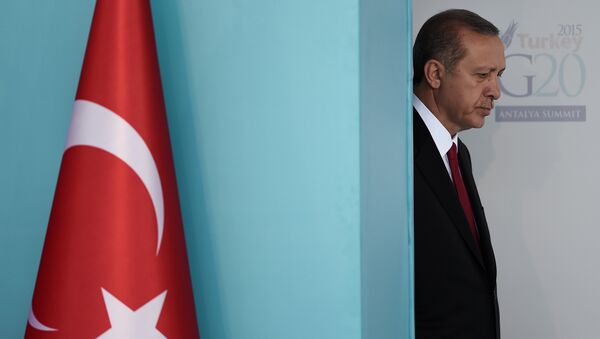 Türkiye Cumhurbaşkanı Recep Tayyip Erdoğan, G20 Liderler Zirvesi'nde. - Sputnik Türkiye