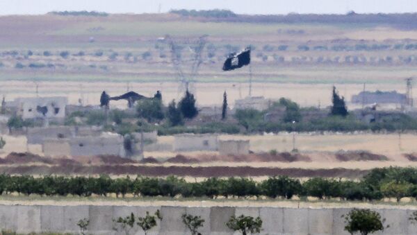 Türkiye - Suriye sınırı / IŞİD bayrağı - Sputnik Türkiye