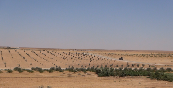 Suriye ordusu stratejik boru hattını IŞİD’den geri aldı - Sputnik Türkiye