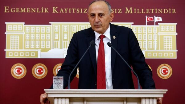 CHP İstanbul Milletvekili Dursun Çiçek - Sputnik Türkiye