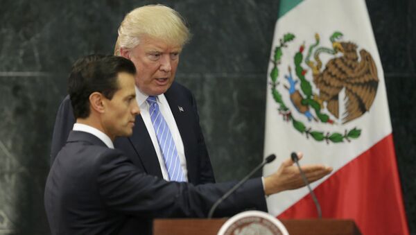 ABD'li başkan adayı Donald Trump- Meksika devlet Başkanı Pena Nieto - Sputnik Türkiye