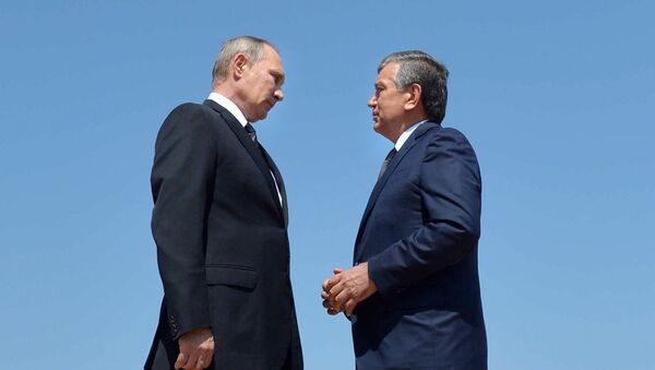 Rusya Devlet Başkanı Vladimir Putin- Özbekistan Geçici Devlet Başkanı Şevket Mirziyoyev - Sputnik Türkiye