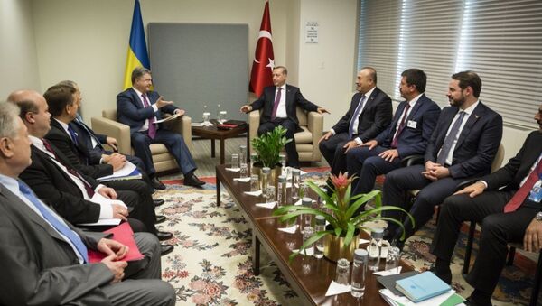 Cumhurbaşkanı Recep Tayyip Erdoğan - Ukrayna Devlet Başkanı Petro Poroşenko - Sputnik Türkiye