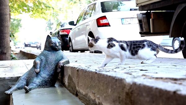 Kedi Tombili’nin heykeli açıldı - Sputnik Türkiye